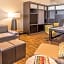 The Holiday Inn Joplin By IHG