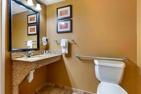 Queen Room with Roll-In Shower - Accessible/Non-Smoking