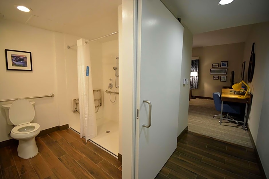Hampton Inn By Hilton Roanoke/Salem