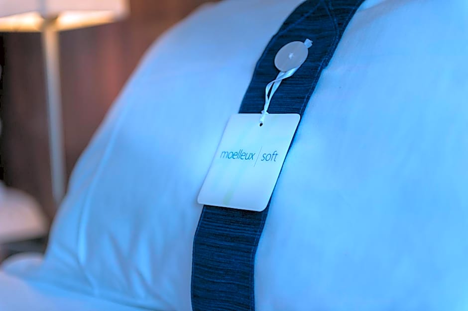 Holiday Inn Express Strasbourg - Sud By IHG