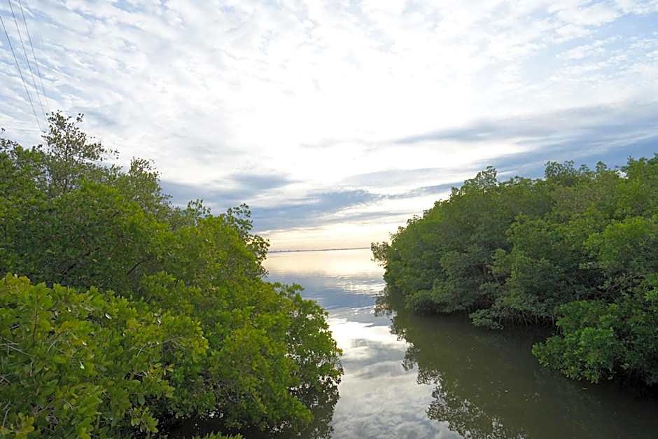 Mar Bay Exclusive Suites