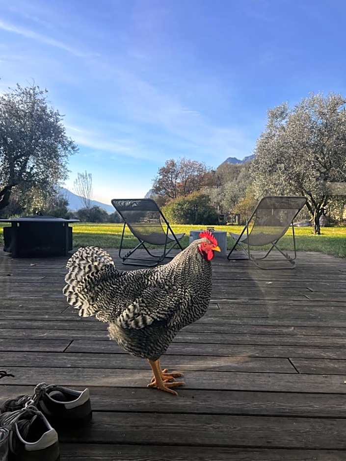 Da La Babi B&B