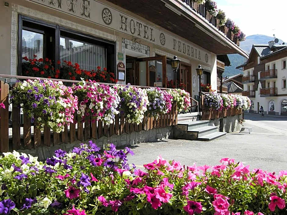 Hotel Federia