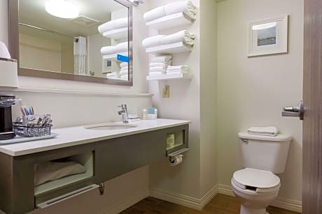 1 King Bed Nonsmoking