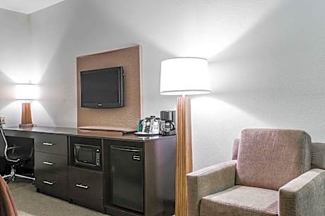 1 King Bed Suite Nonsmoking Accessible