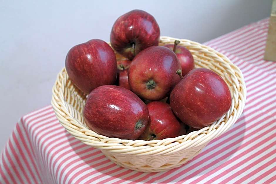 Inn Possible Lisbon Hostel