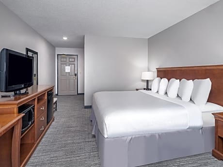 1 King Bed Standard Room Non-Smoking