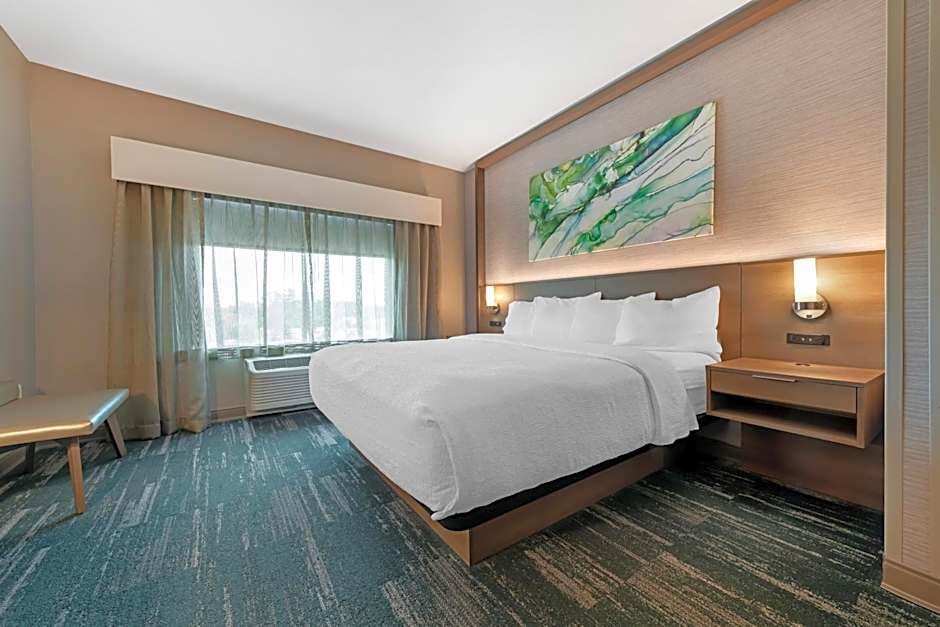 Best Western Plus Grand Rapids MN