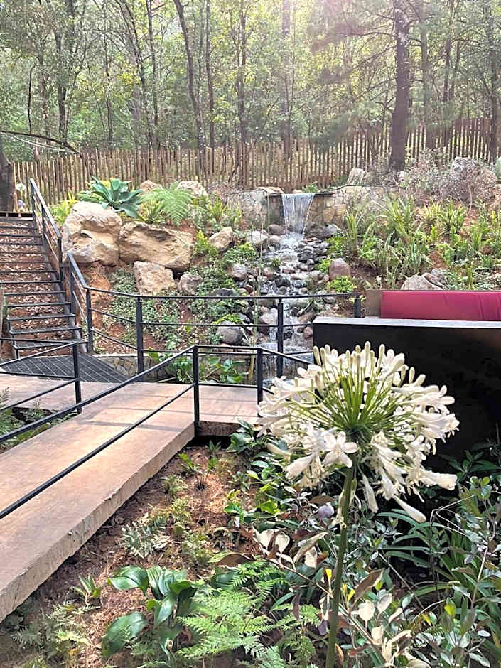 Hotel Oxú Solo adultos