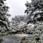 Ruapehu Mountain Motel & Lodge