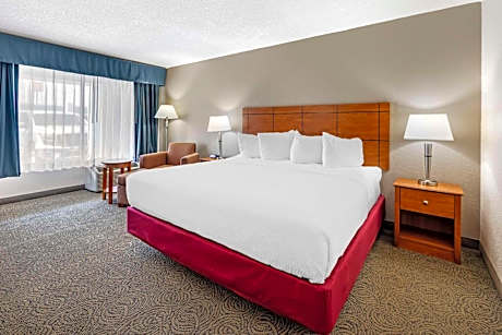 King Room - Pet-Friendly