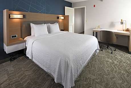 One-Bedroom King Suite with Sofa Bed