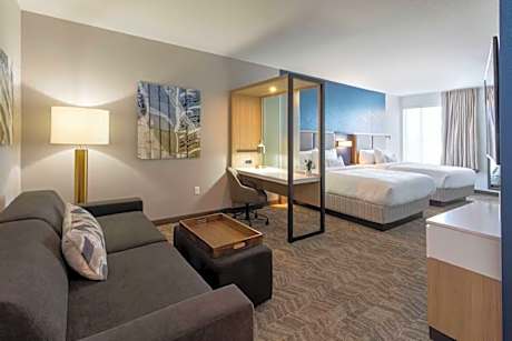 SpringHill Suites by Marriott Locust Grove