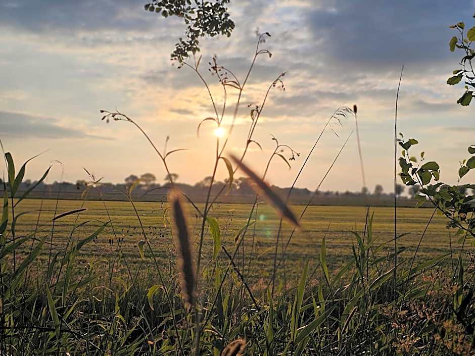 Tiny House De Klyster