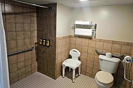 1 King Bed Mobility Accessible Room Roll-In Shower Non-Smoking