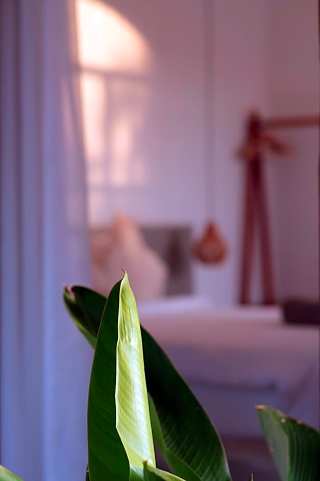 Suku Lifestyle Hotel & Villas