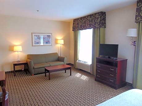 1 King Bed Nonsmoking