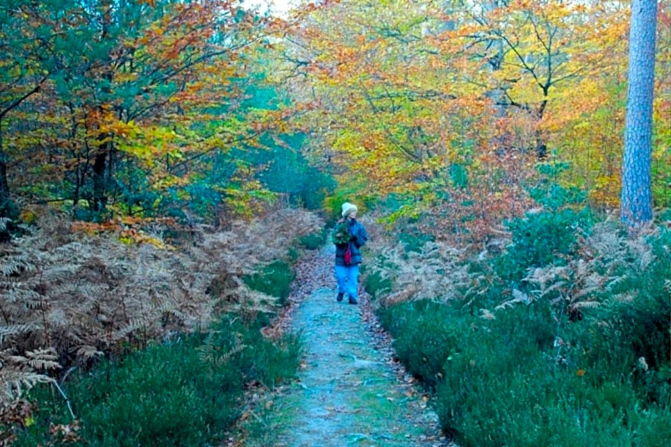 La Maison de l'Argentier du Roy