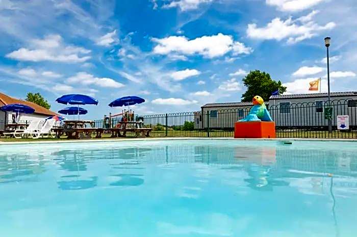 Oyster Etchingham SEAVIEW