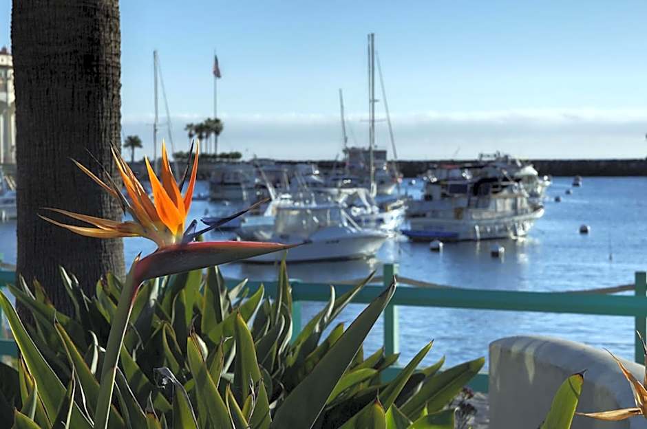 The Avalon Hotel in Catalina Island