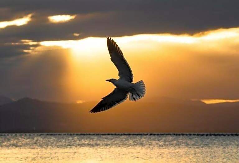 Charme, pôr do sol, praia privada. Exclusividade.