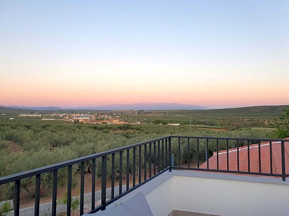 Casita of Casa Olivar