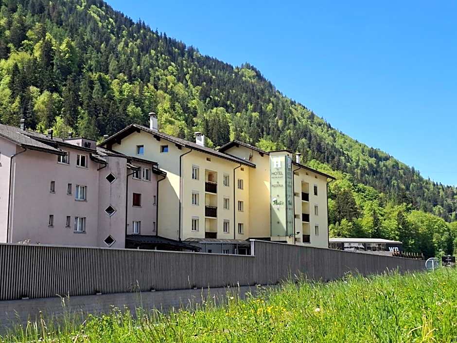 Hotel Alpina