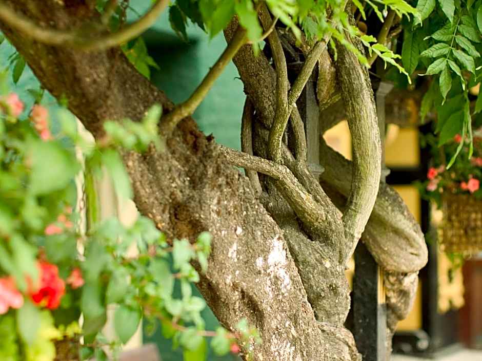 Metropole Hotel and Spa