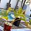 Mikocheni Condo Hotel & Apartments