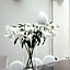 101 Hotel, a Member of Design Hotels