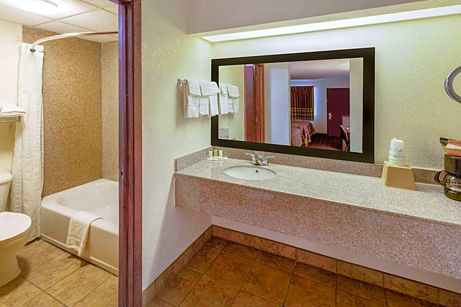 Super 8 by Wyndham Seguin