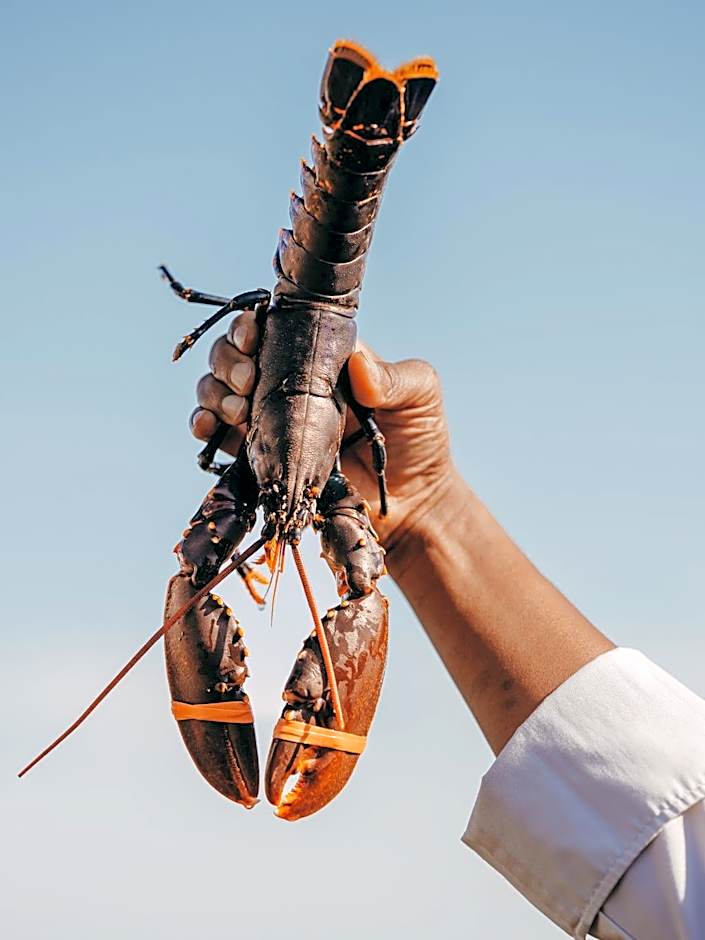 Le Grand Large, Belle-Ile-En-Mer