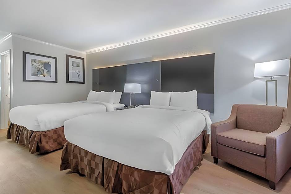 Suburban Studios at the University