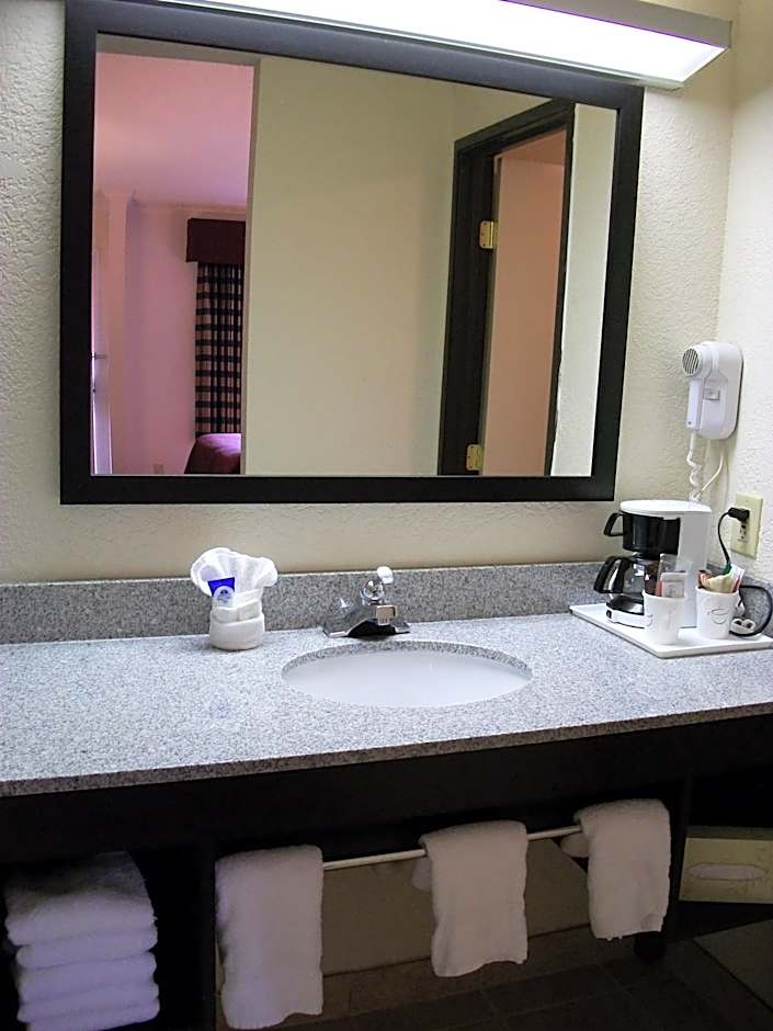 Americas Best Value Inn Romulus/Detroit Airport