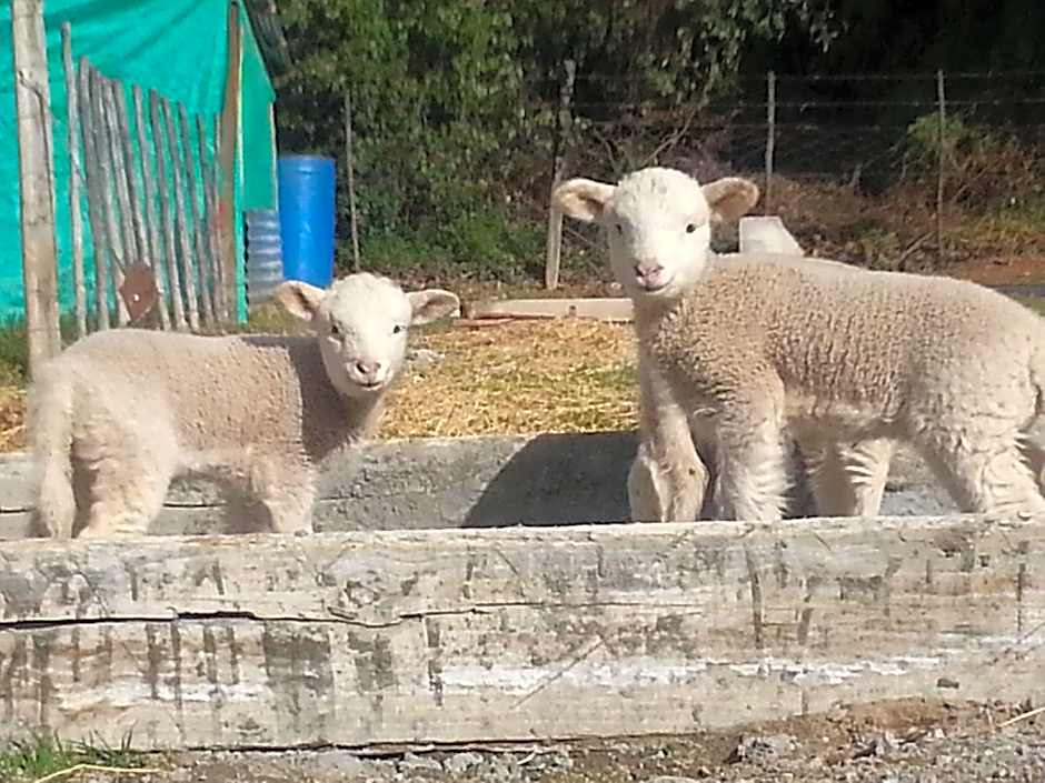 Die Fonteine Country Guesthouse and Glamping