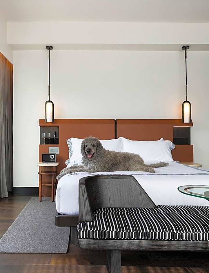 Thompson Denver by Hyatt