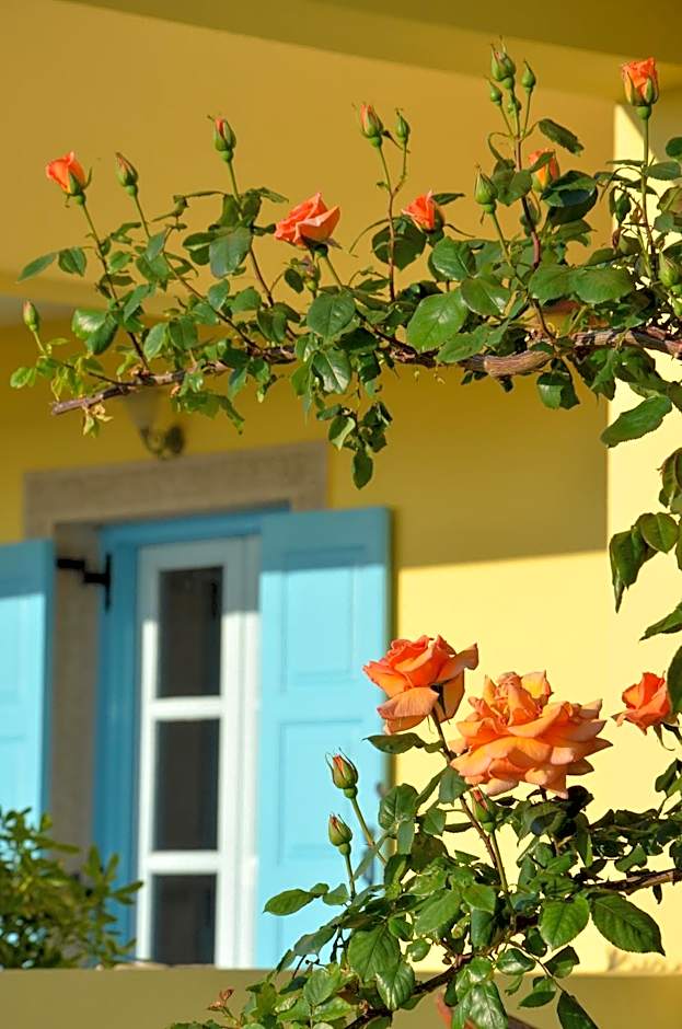 Hotel Dina - Ξενοδοχείο Ντινα