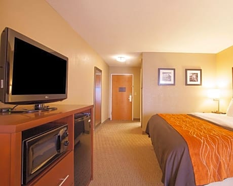 1 King Bed, Suite, Nonsmoking