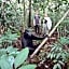 Tangkoko Ranger Homestay