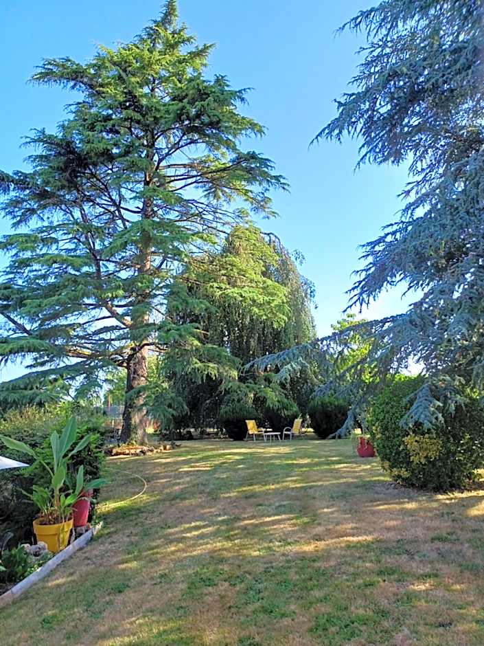 L'Orangerie