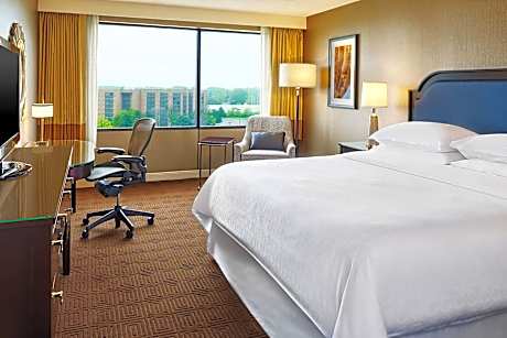 Room, 1 King Bed