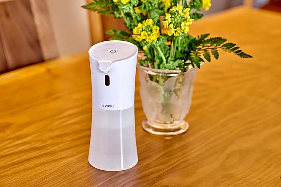 Ichinomatsu Japanese Modern Hotel