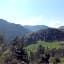Waldblick Landhaus B&B