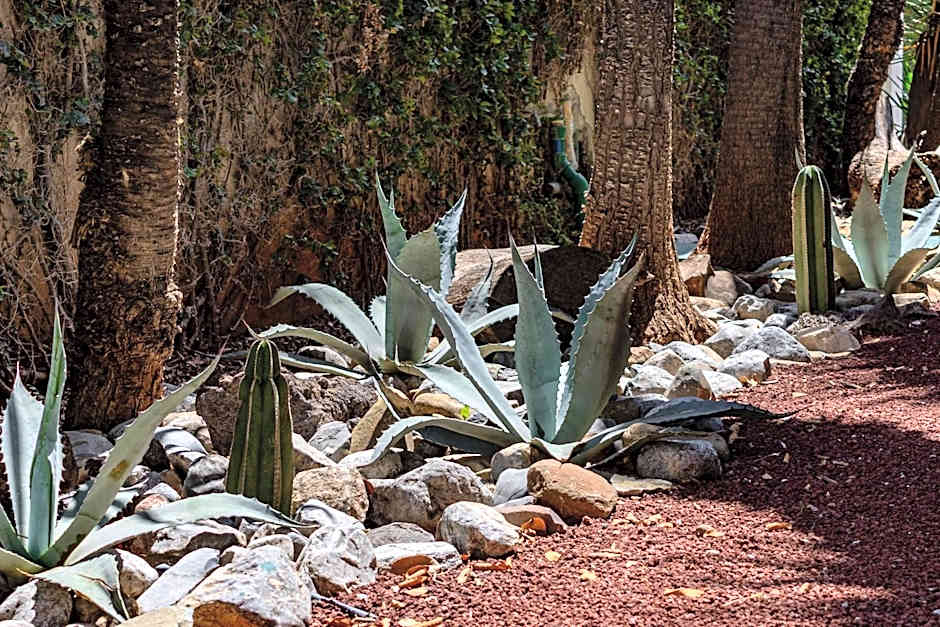 Quinta Dorada Hotel & Suites