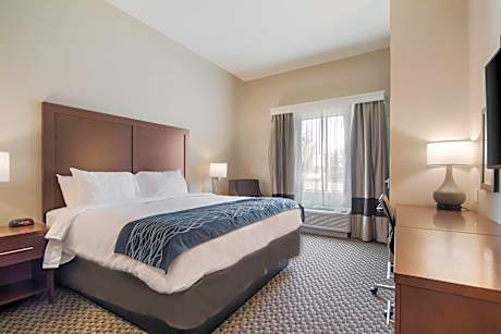 Comfort Inn & Suites Rock Hill Northeast