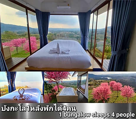 Sirine​Onsen​  ที่พักวิวทะเลหมอก​ ออนเซนวิวหมอก