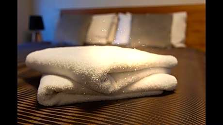 Deluxe King Room - No pets