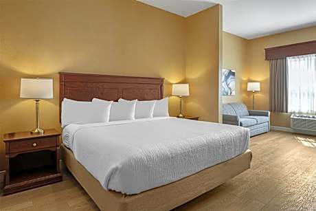 King Suite with Sofa Bed, Fireplace, Sitting Area and Rain Shower - Non-Smoking