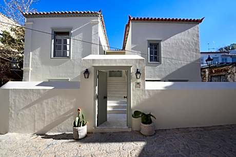 Cactus Hydra - Art Apartments