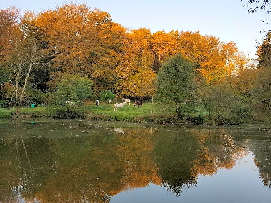 Le jardin de Saint Jean